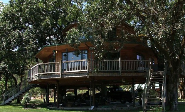 biggest tree house