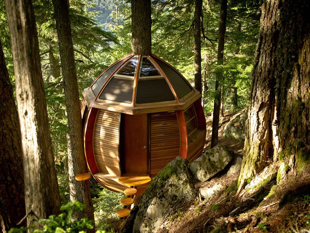 egg shape tree house