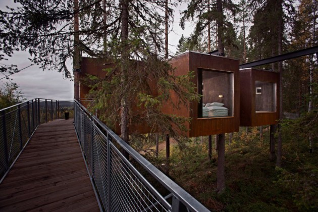 hotel tree house