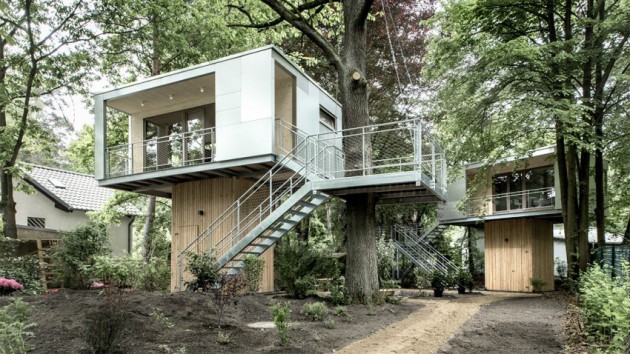 rent home tree house