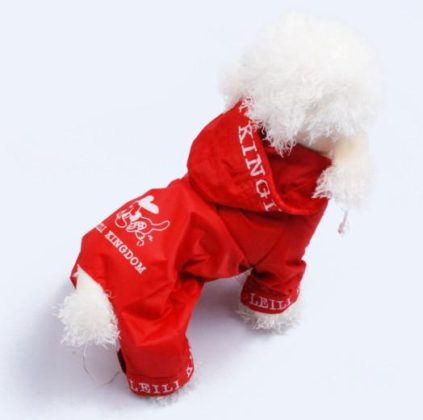 Dog Rain Coats Designs For You Puppy