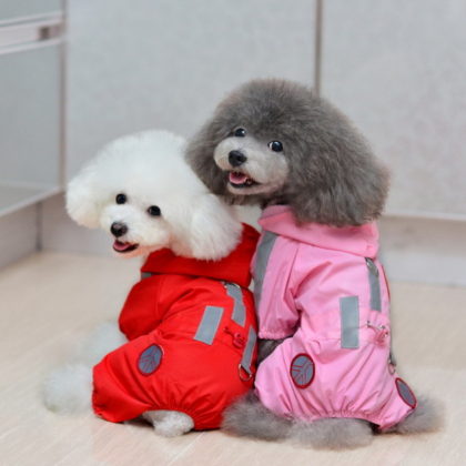 Dog Rain Coats Designs For You Puppy