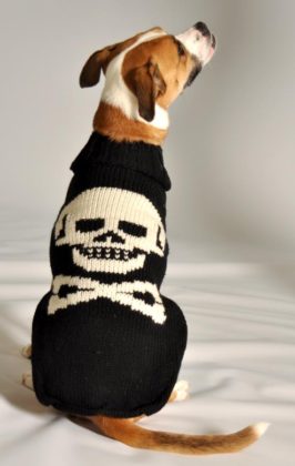 Handmade Woolen Sweaters For Your Cute Puppies