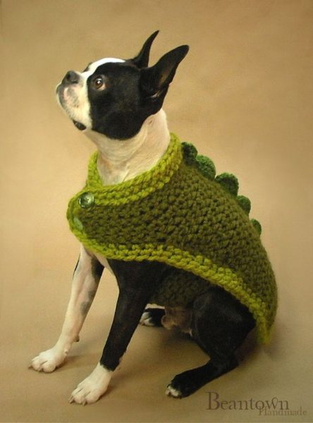 sweaters for dog